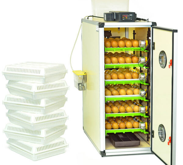 Kuluçka Makinesi Teknik Servisinde Kesin Çözüm Yöntemleri [2026] - Kapak Görseli